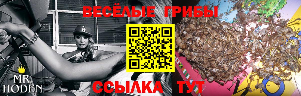 Галлюциногенные грибы мухоморы Биробиджан